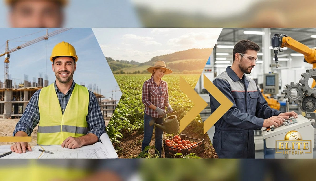 Diversité des travailleurs : BTP, agriculture, industrie.