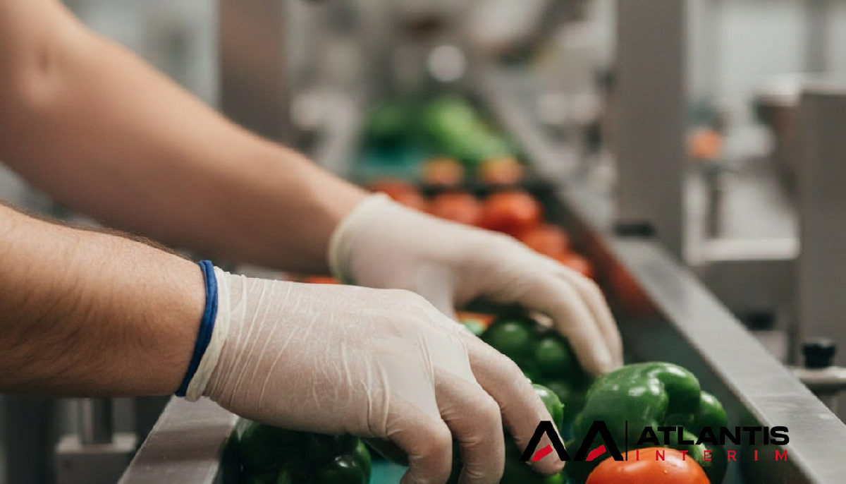 Mains d'un travailleur qualifié manipulant des produits alimentaires avec précision.